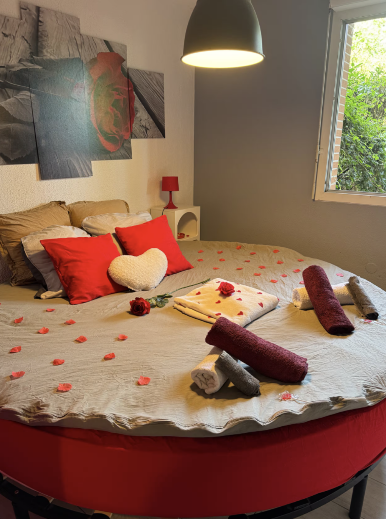 Logement entier : appartement - Toulouse, France