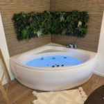 Appartement - Tournefeuille